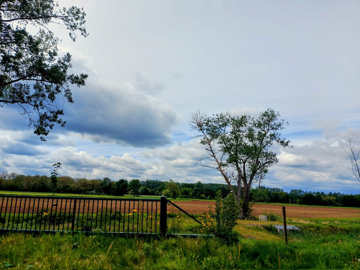 boon_jos's tweet photo. #vrtweer Jos Boon Betekom 14u53 https://t.co/rtyutwkanA