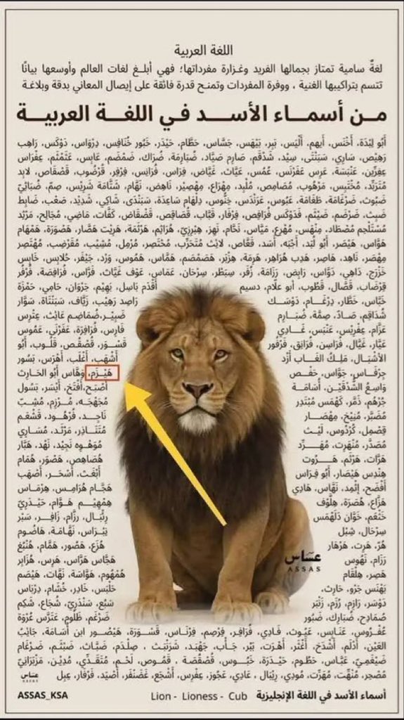 Hicham Loukili | ⵀⵉⵛⴰⵎ ⵍⵡⴽⵉⵍⵉ tweet media