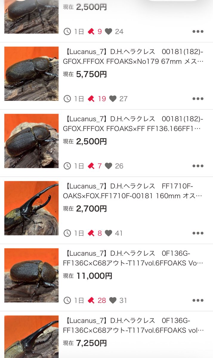 Lucanus_7 tweet media