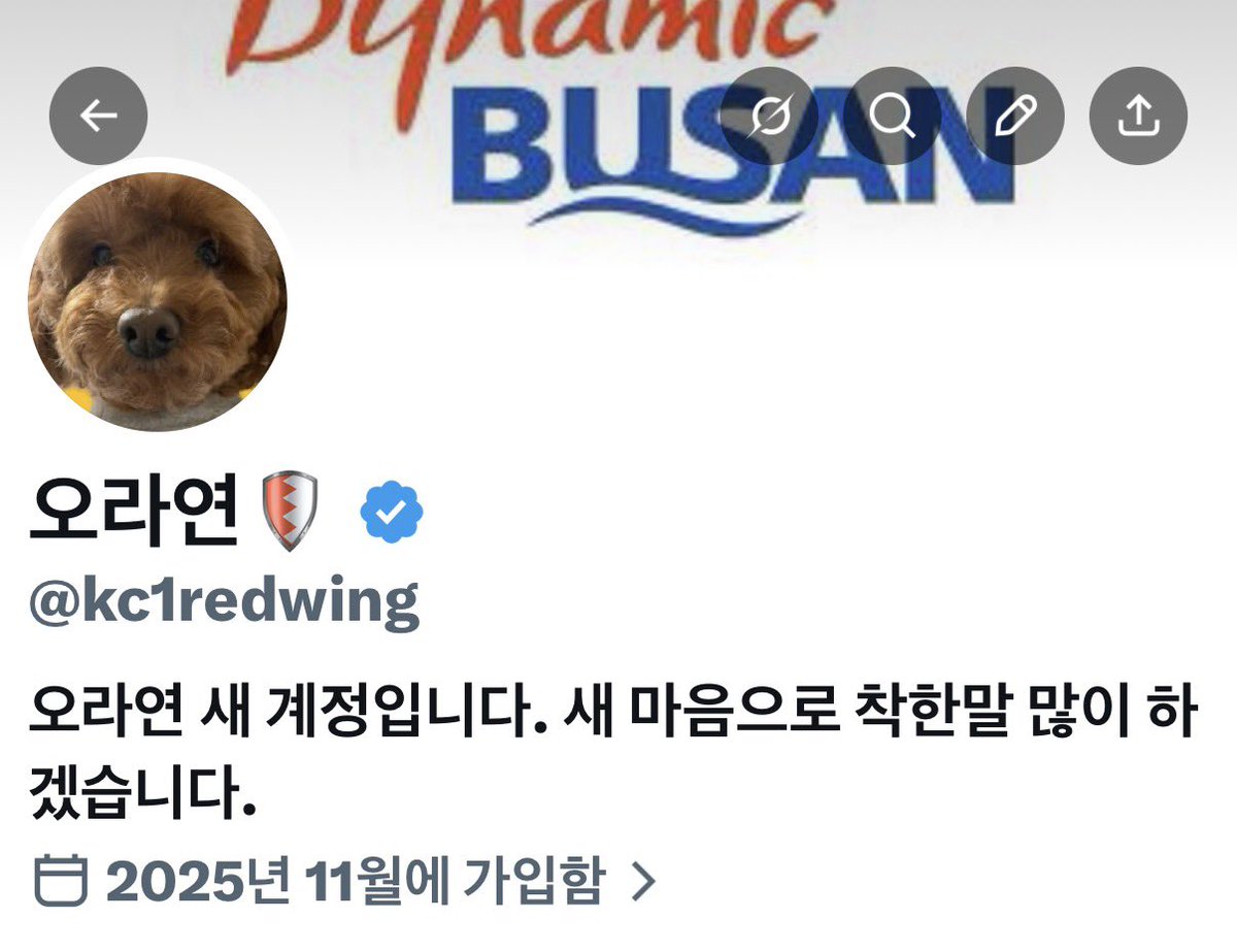 오라연🛡 tweet media
