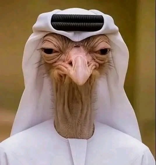 irafikk's tweet photo. @SUAL6AN_UAE خصوصا هذا https://t.co/0dPh5LQ1mY