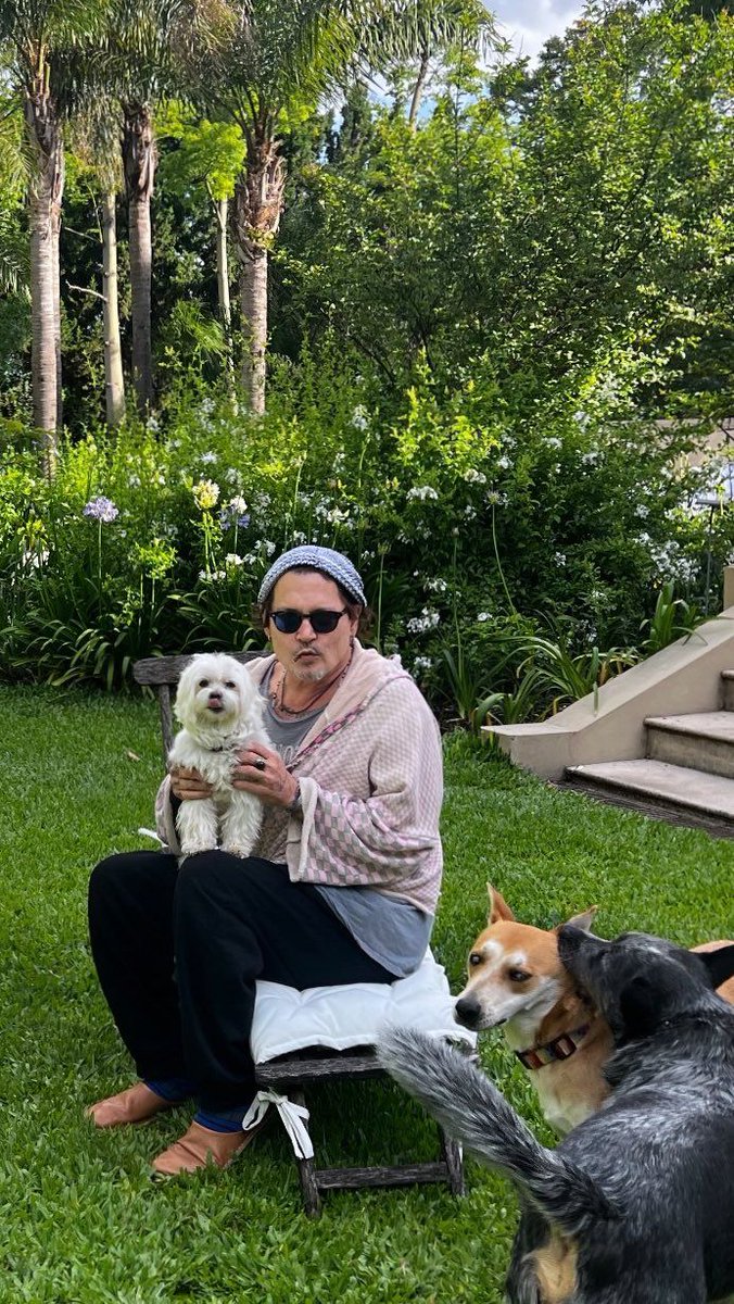 Johnny Depp tweet media