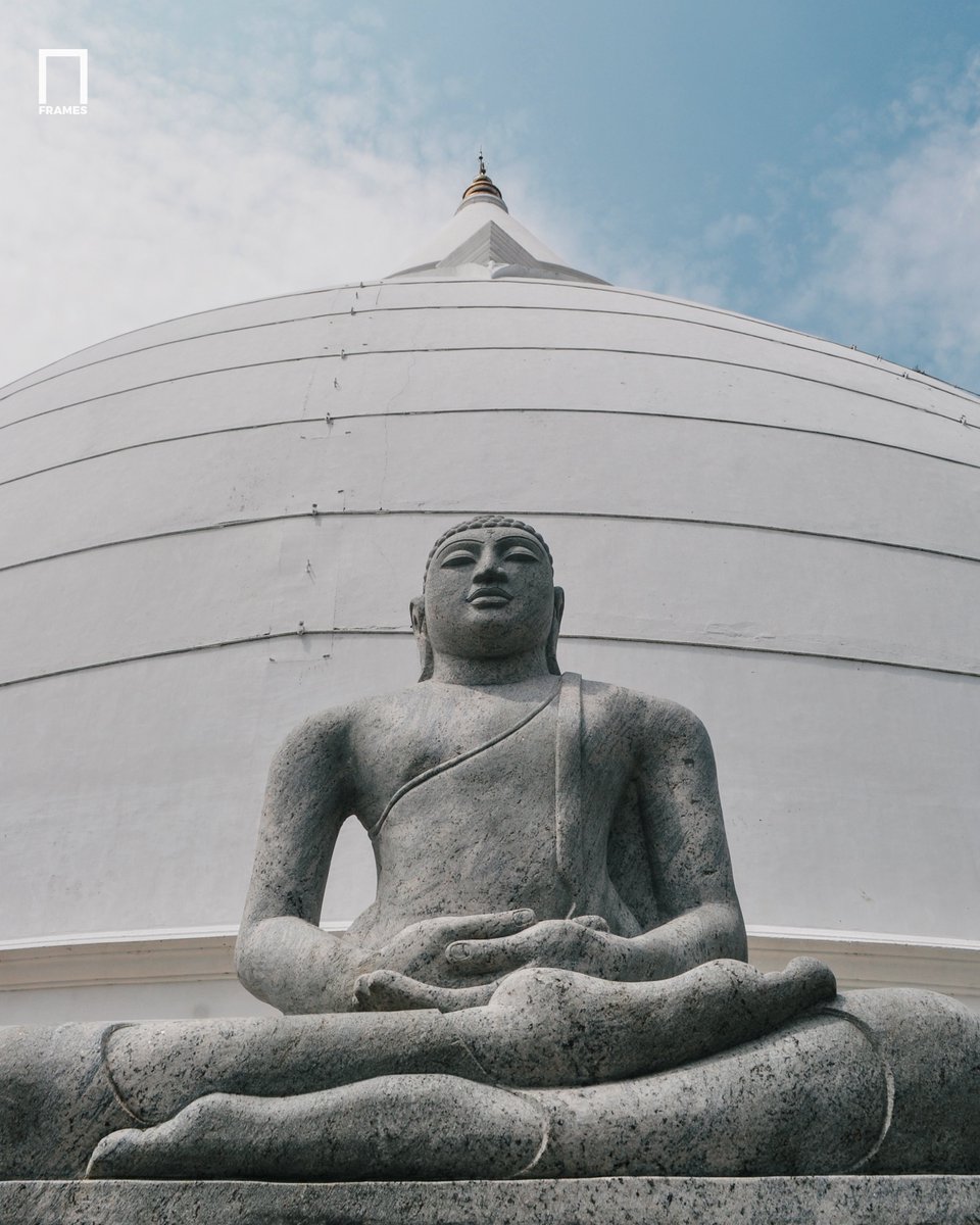FramesMediaX's tweet photo. A moment of pure peace at one of Sri Lanka's most sacred sites. 🪷✨

📍Tissamaharama Raja Maha Vihara (තිස්සමහාරාමය) | Sri Lanka 🇱🇰🙏
.
.
© 2026 Frames Media. All rights reserved
.
.
#tissamaharama #tissamaharayastupa #srilanka #framesmedia #buddhisttemple #stupa #visitsrilanka https://t.co/dBpWuJW7tW