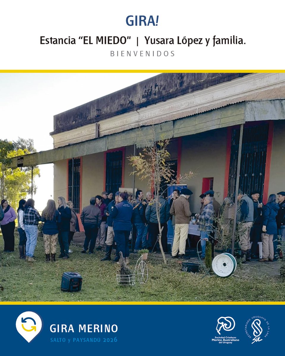 MerinoUY's tweet photo. 🐑✨ Comenzó la 2da. jornada de la GIRA!

📍 Estancia “EL MIEDO”
Yusara López y familia.

Gracias por recibir esta nueva etapa de la GIRA MERINO SALTO y PAYSANDÚ 2026 🤝

🇺🇾 Compartiendo genética, trabajo y pasión por el Merino Australiano. https://t.co/s2gklLbT6k