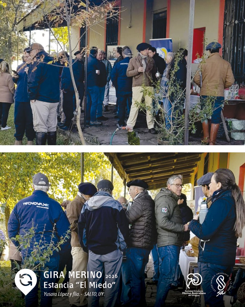 MerinoUY's tweet photo. 🐑✨ Comenzó la 2da. jornada de la GIRA!

📍 Estancia “EL MIEDO”
Yusara López y familia.

Gracias por recibir esta nueva etapa de la GIRA MERINO SALTO y PAYSANDÚ 2026 🤝

🇺🇾 Compartiendo genética, trabajo y pasión por el Merino Australiano. https://t.co/s2gklLbT6k