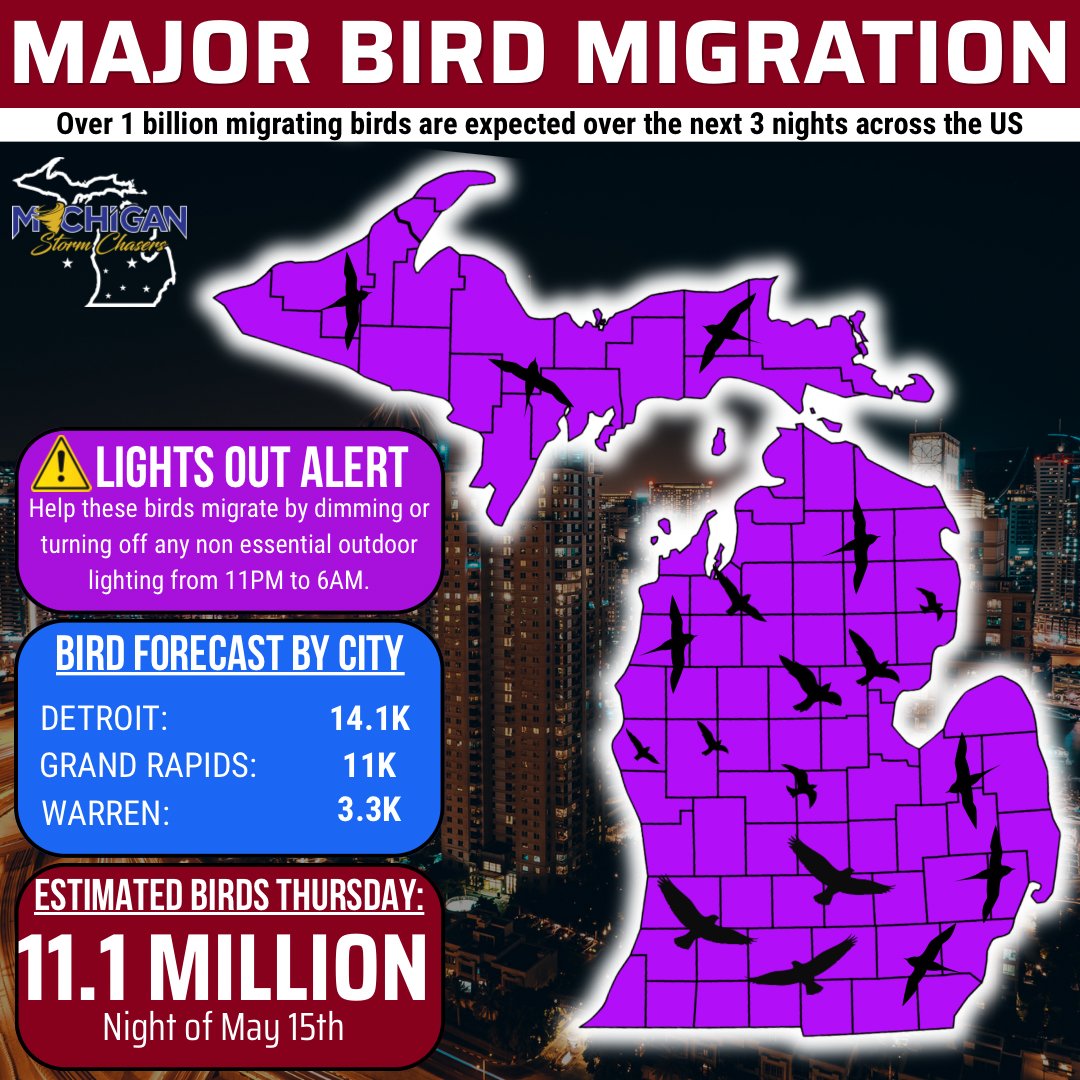 MiStormChasers's tweet photo. Once again, tonight is a major migration night for birds across the USA, with over 11 million birds expected over our great state of Michigan! https://t.co/MCgMqhIT8P