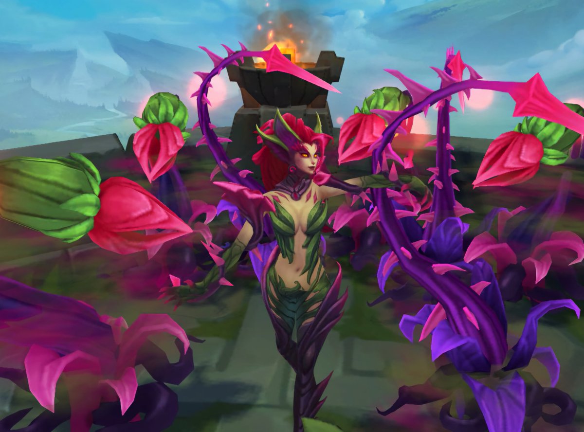Acervo Zyra tweet media