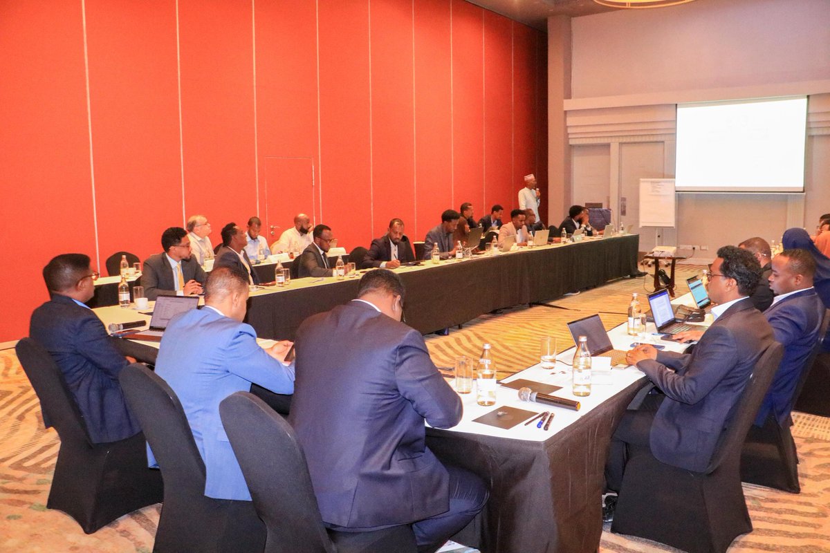SERP Project Somalia tweet media