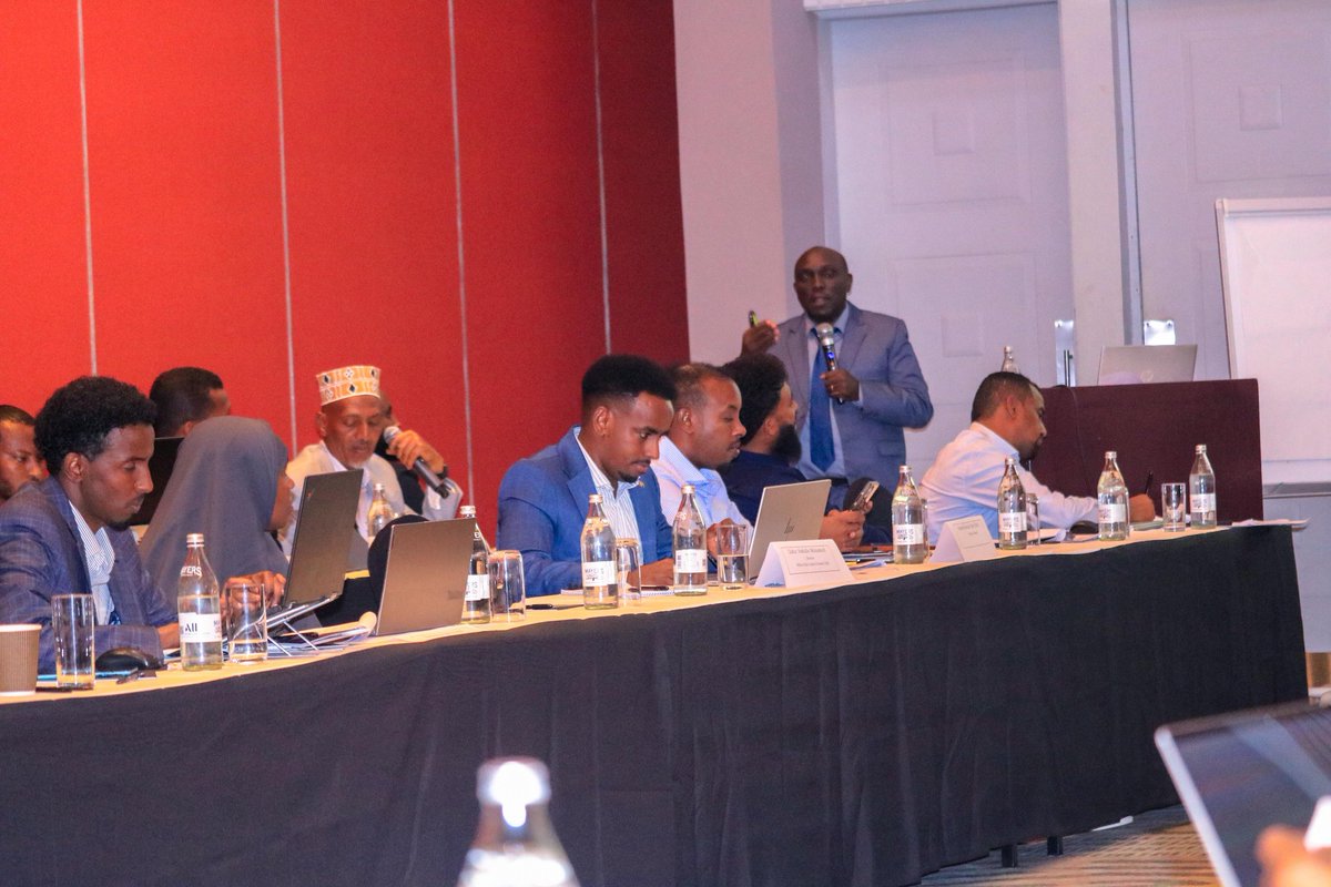 SERP Project Somalia tweet media