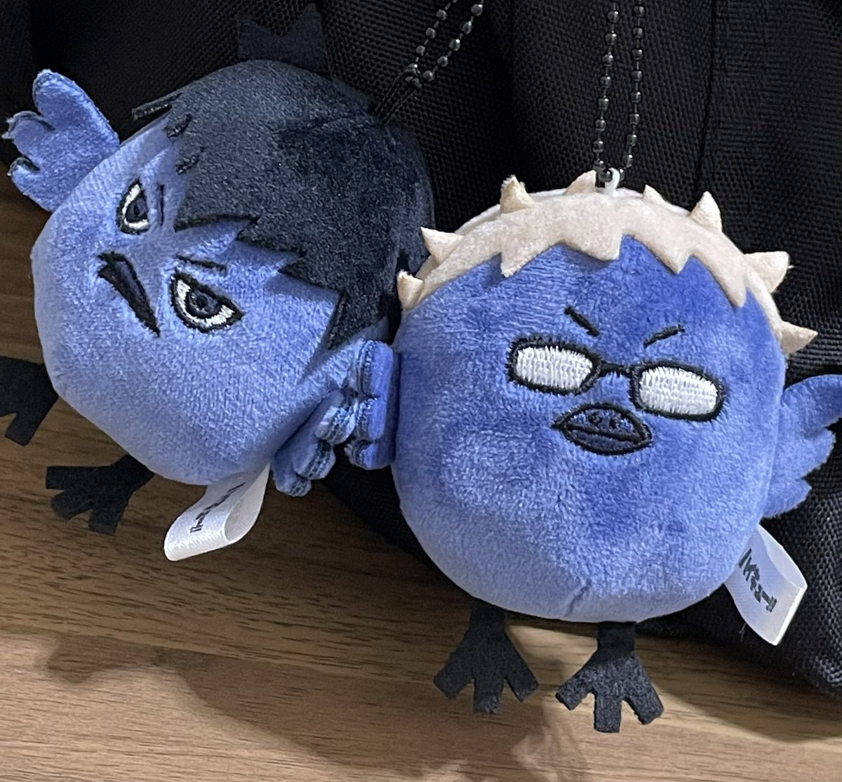 _three_well_'s tweet photo. ヒナ🐦‍⬛をお迎えしました。かわいい。 https://t.co/Heqlqt6p8F