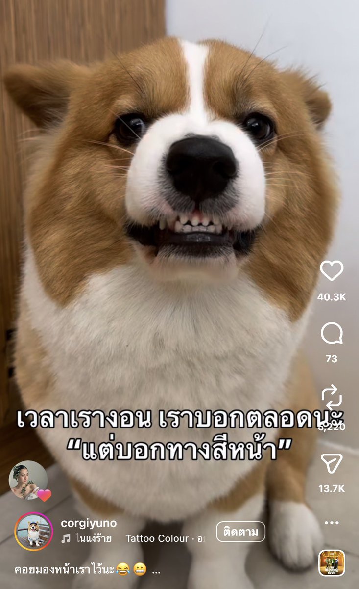 เก้ารัญชน์ tweet media