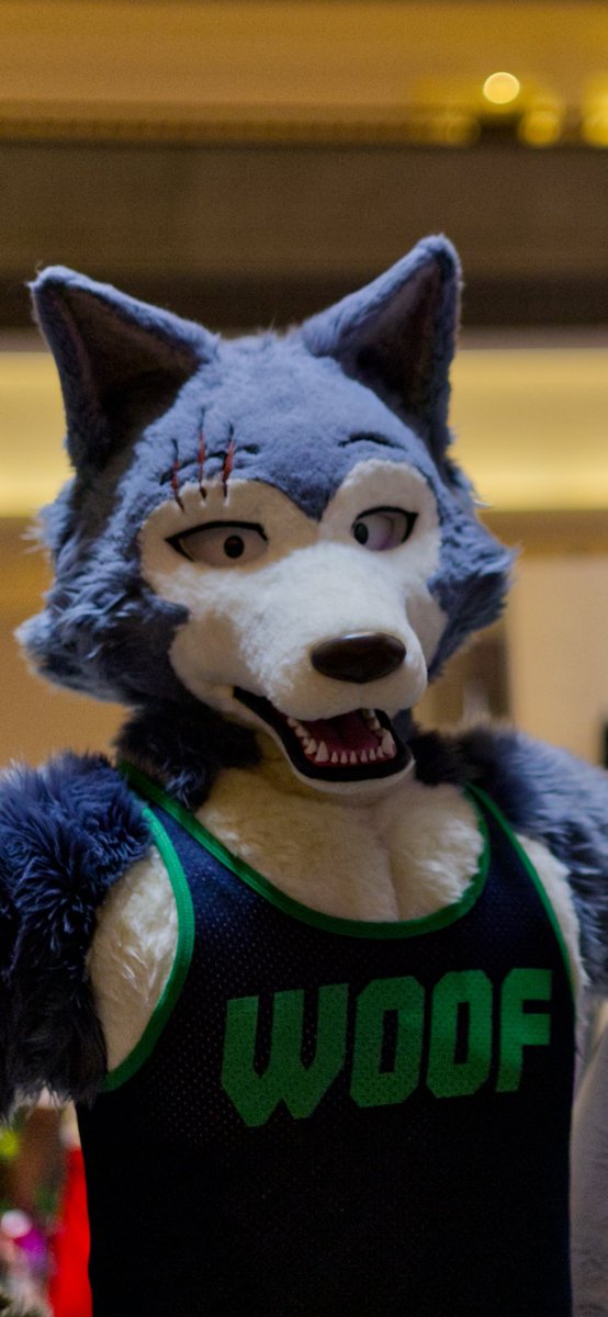 Moose (Differmitt) 🔜 FWA???? tweet media