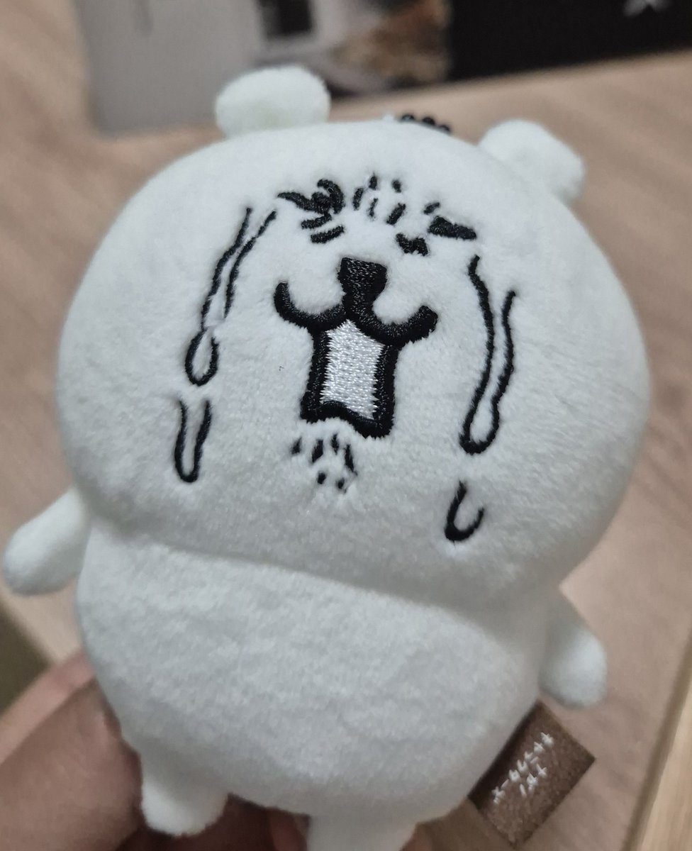 놧도 tweet media