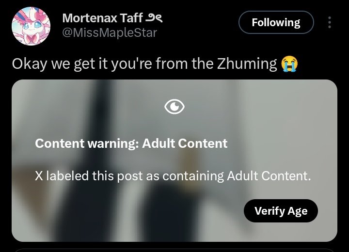 fengxing tweet media