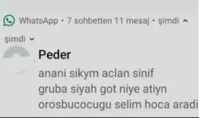 ÜMİTE GUILLIMAN tweet media