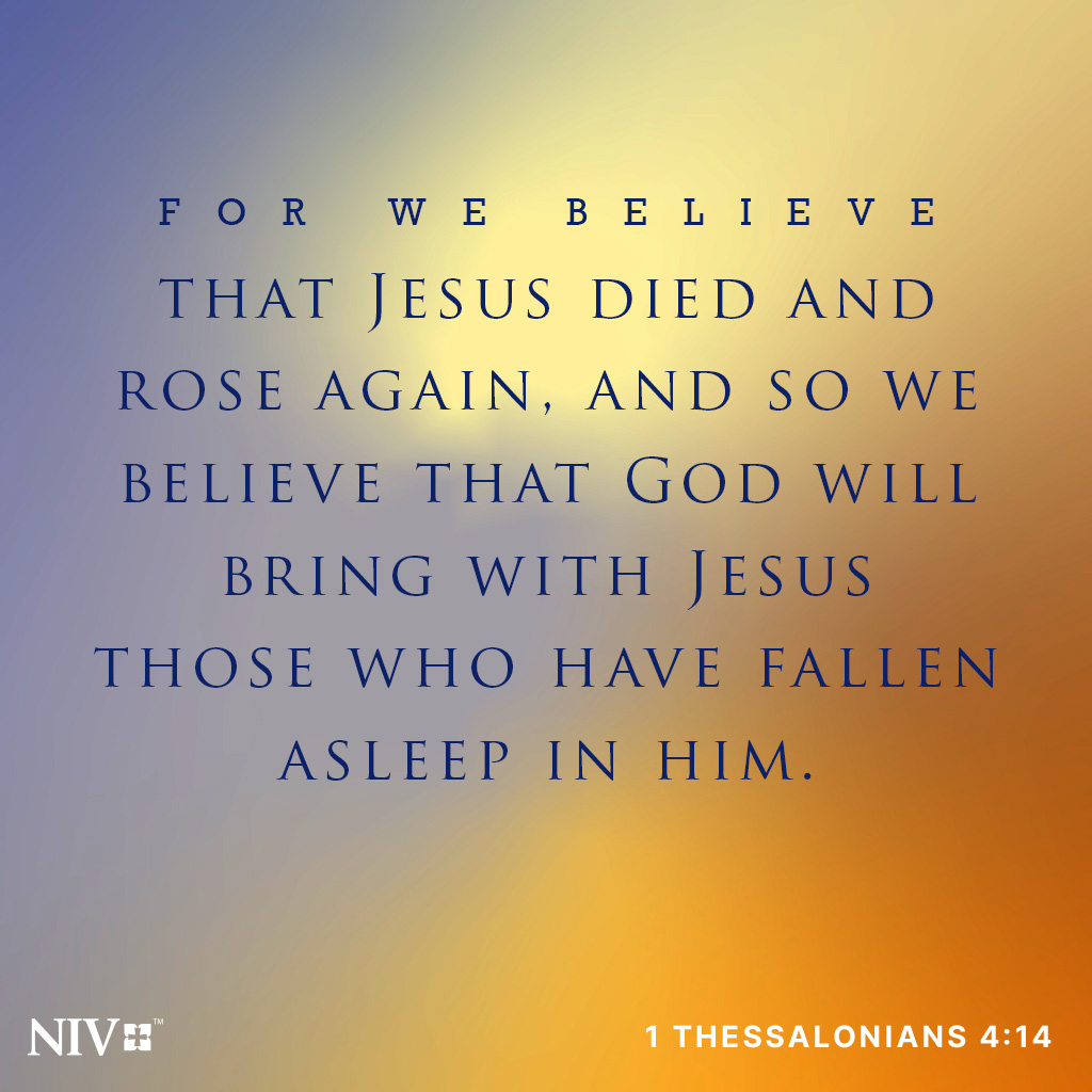 The Bible tweet media