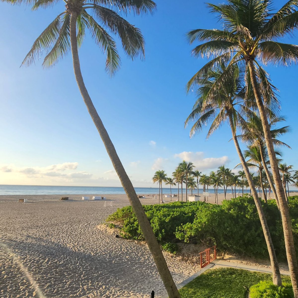 LagoMarResortFL's tweet photo. It’s hard to overstate the benefits of being right on the beach and not having to worry about crossing a busy street, finding somewhere to park, or even finding a spot for you and your family to spread out and relax. #mylagomar #fortlauderdalebeach (pic @maritafromperu) https://t.co/P9FtCOaJ0N