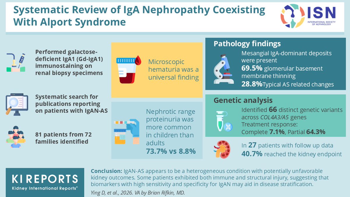 KIReports's tweet photo. Systematic Review of #IgA Nephropathy Coexisting With #Alport Syndrome
#VisualAbstract by @brian_rifkin
https://t.co/9yd92yLEoN https://t.co/TbLtSlRCV5