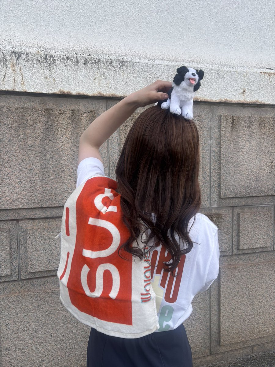 t4blsI7FwQFoCbT's tweet photo. 2026/05/15 
.
- sumika Unique -
 ひっさびさのsumika。
半日仕事してからで気分落ちてたけど
sumikaの音楽で吹っ飛んだ！！
岡山のこと、沢山褒めてくれて
岡山県民でよかったなあって感じた。
とりあえずおがりんのお家できたら
粗品持って行こ〜っと🤤
sumikaに出会えてよかった！

#sumika https://t.co/yQJ6p5A50o