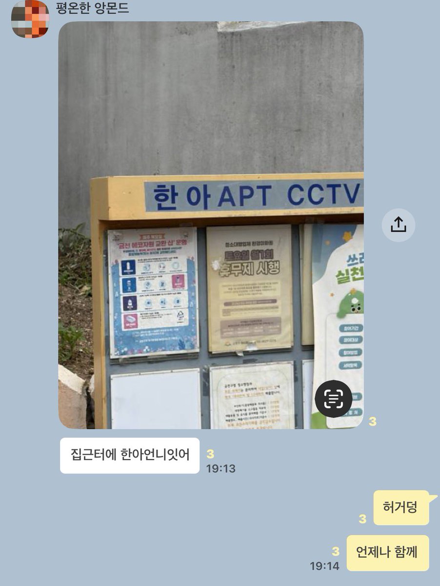 한아 tweet media