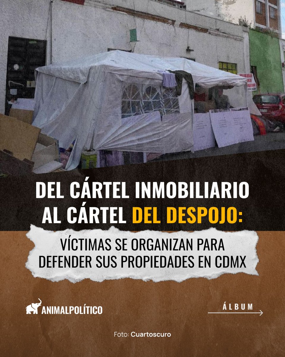 Animal Político tweet media