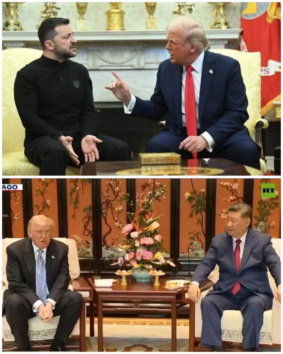سهیل نجفی tweet media