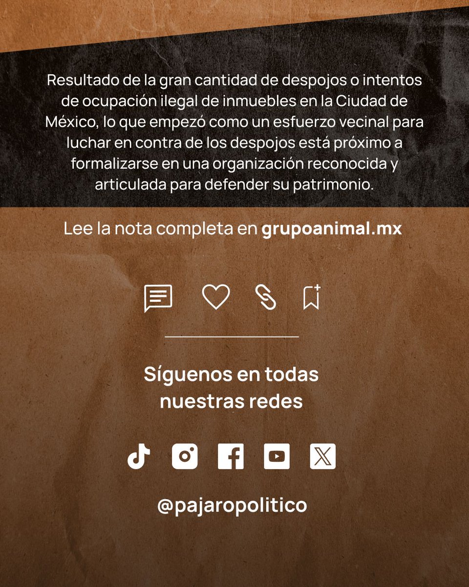 Animal Político tweet media