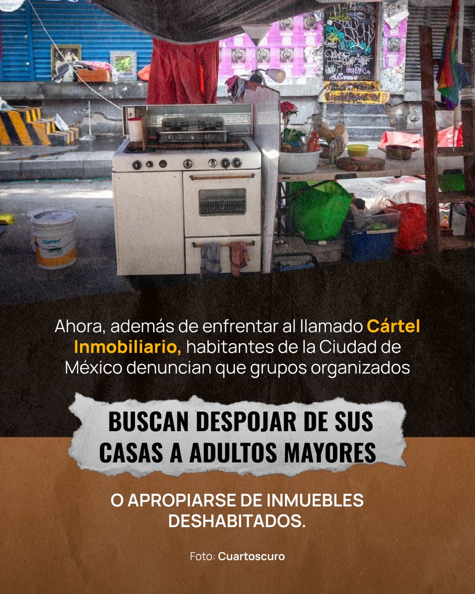 Animal Político tweet media