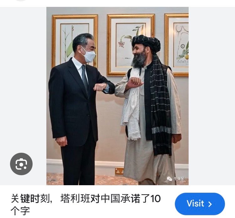 杨若晖 Ruohui Yang tweet media