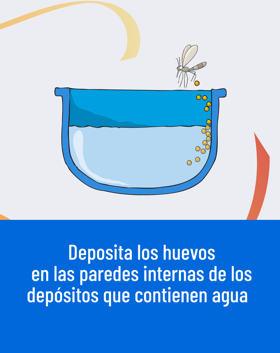 Ministerio de Salud Pública 🇪🇨 tweet media