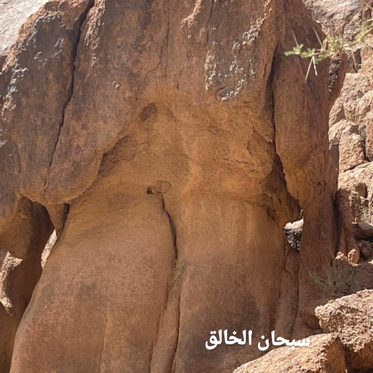 ksa336699's tweet photo. من التشكيلات الصخرية الجميلة
في منطقة حايل تحديدن جبال سلمى
@HailCityx 
@6Q6QS 
@tqqs 
@hail_weather https://t.co/bORK7S9kfs