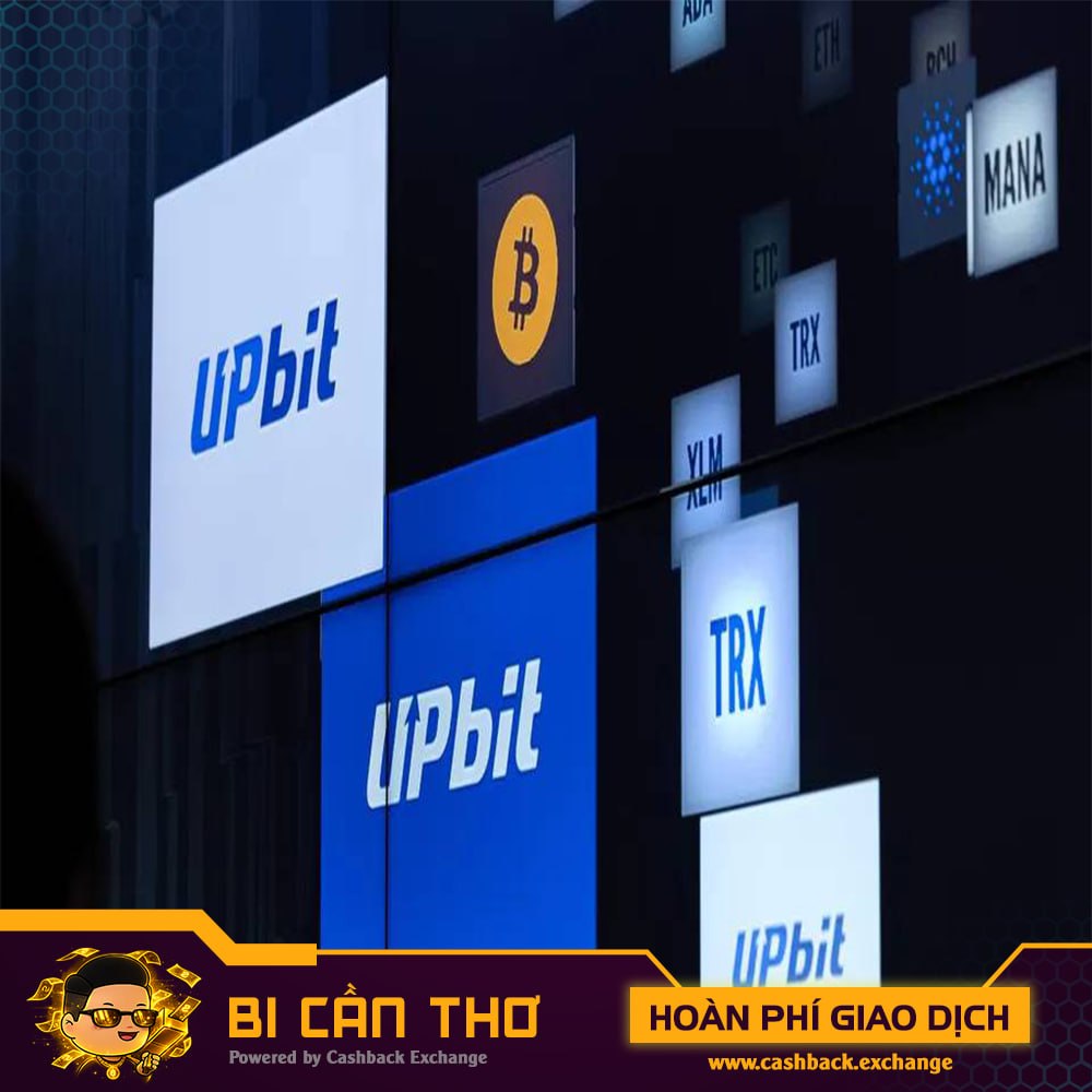 Bi Cần Thơ | Cashback.Exchange tweet media