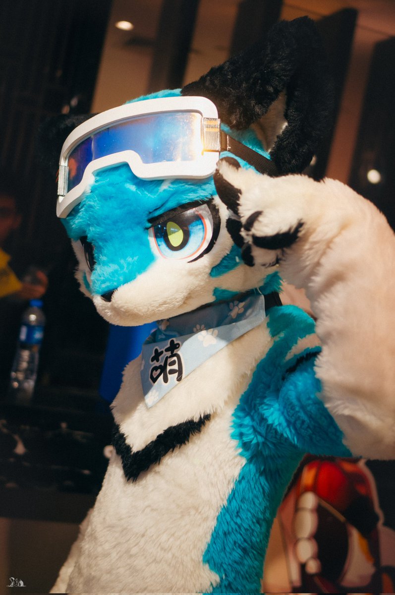 DanBai_Naki's tweet photo. #fursuitfriday
📷:Pio飘飘 https://t.co/1l5WIOfCiA