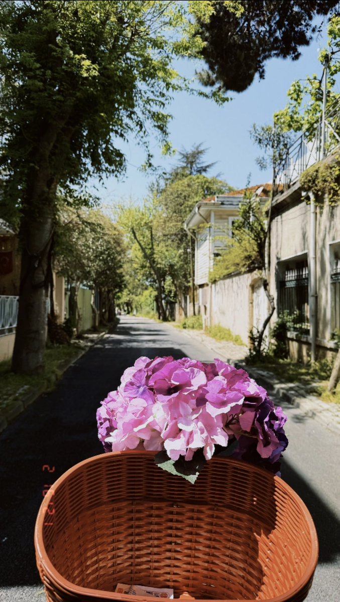 hilaalt's tweet photo. Büyükada dumppp 📍💌🤍🍦🚲 https://t.co/CYmqxMNu9H