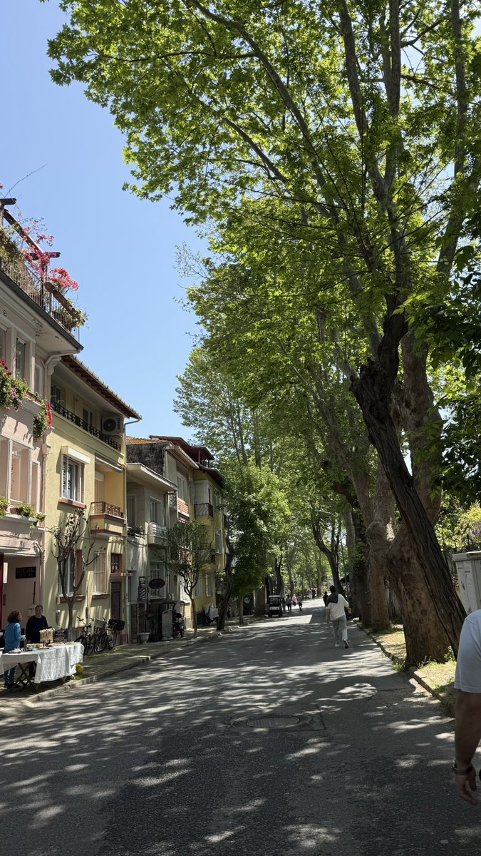 hilaalt's tweet photo. Büyükada dumppp 📍💌🤍🍦🚲 https://t.co/CYmqxMNu9H