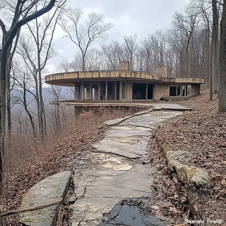 Mountain Cabins tweet media