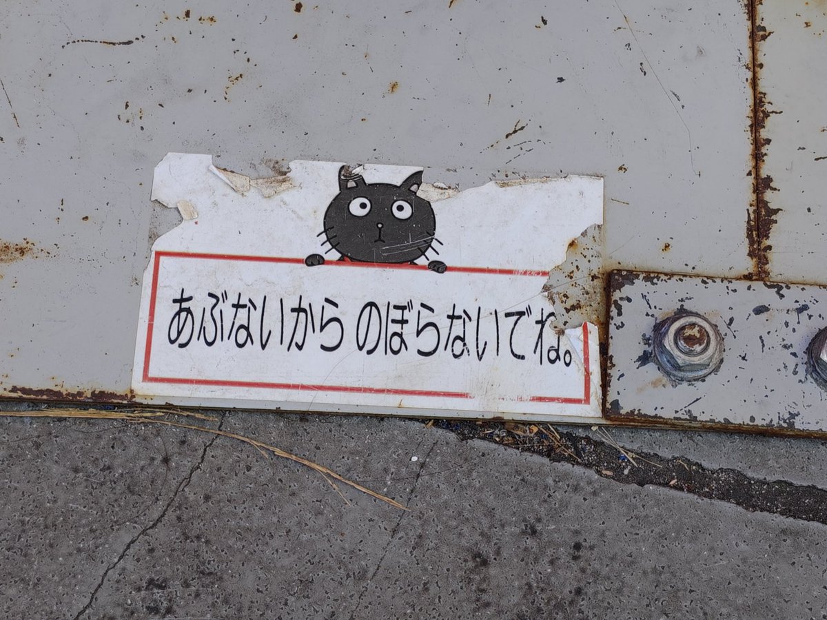 春の月 (はる) tweet media