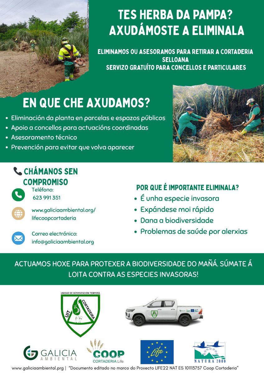 galiciaambienta's tweet photo. 🌿 Arranca en Galicia a segunda fase do proxecto LIFE Coop Cortaderia cunha acción dirixida a particulares e concellos para eliminar pequenos núcleos de herba da Pampa e evitar a súa expansión polo interior.

🚜 Eliminación, apoio técnico e asesoramento gratuíto.
@stopcortaderia https://t.co/kEnZ2Wt9l9