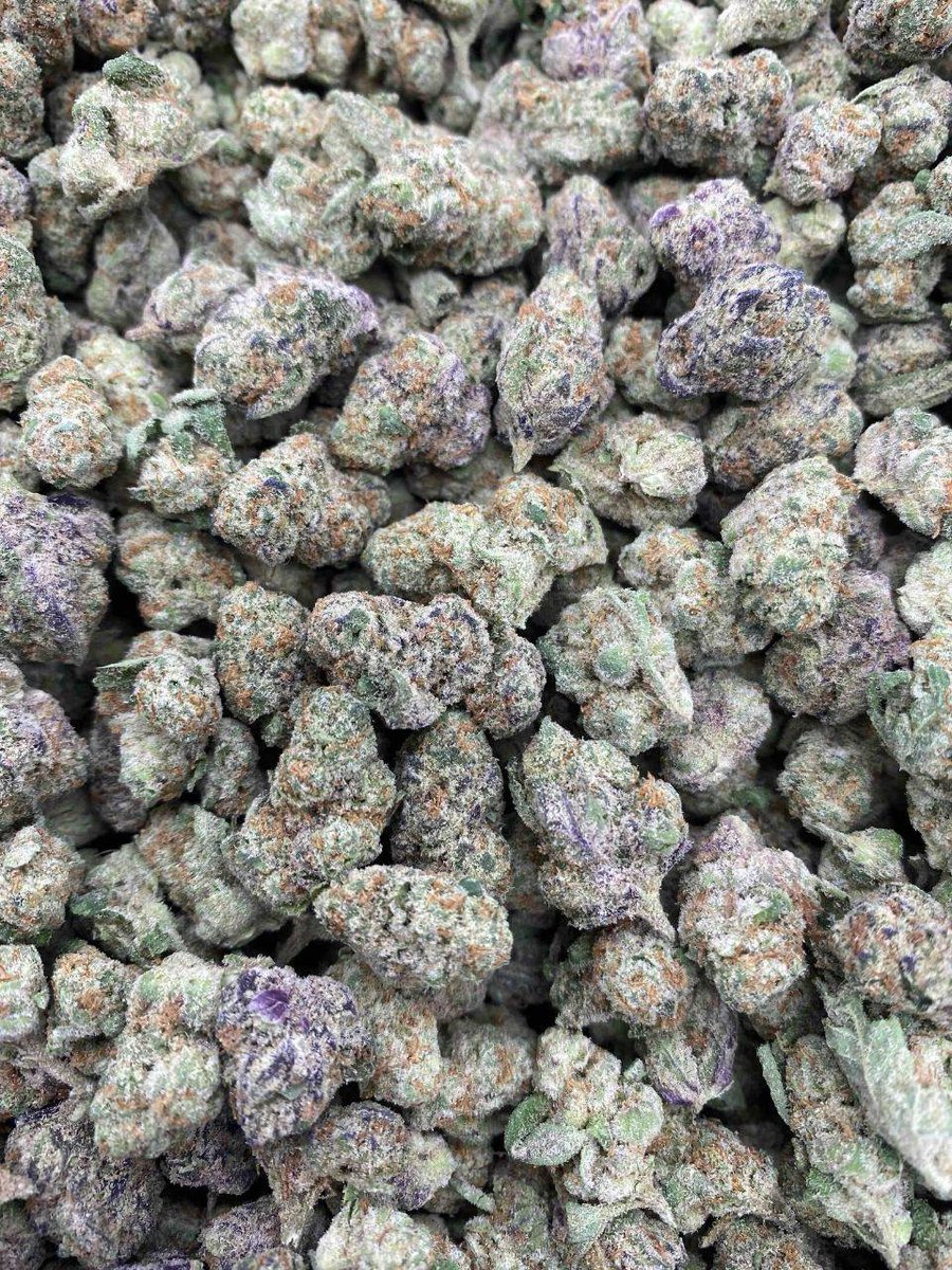 sincity seeds tweet media