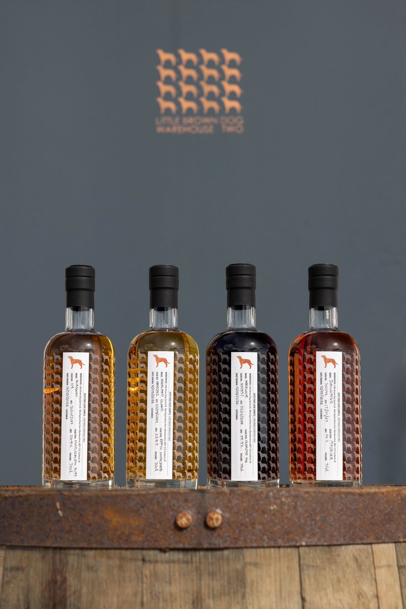 Little Brown Dog Spirits tweet media