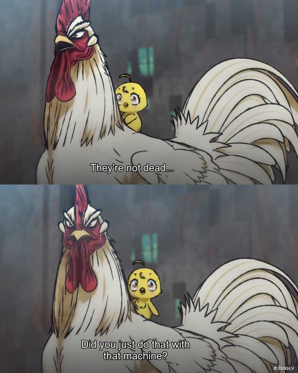 Rooster Fighter tweet media