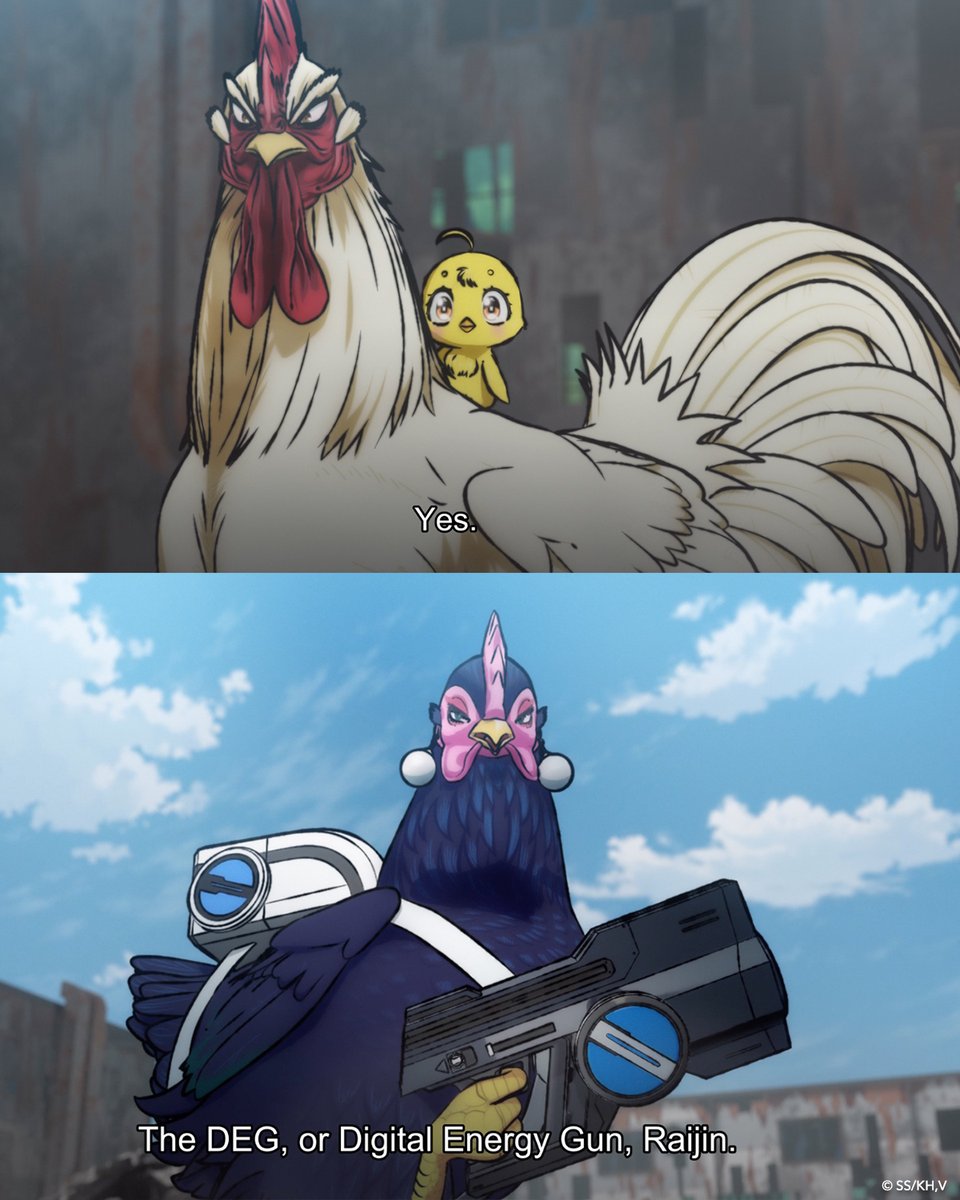 Rooster Fighter tweet media