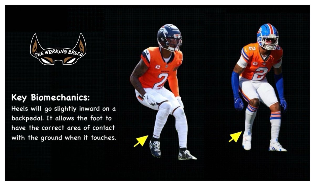 McKeownDB's tweet photo. Details in the back pedal! 🗣️Free game! The Working Breed. https://t.co/vnOiwN2XWE