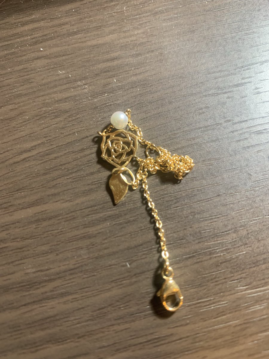 DannyT73382767's tweet photo. 奥さんがよくやる鎖絡み問題。直すのはいつも僕だよ。 https://t.co/OVdpeW1lo9
