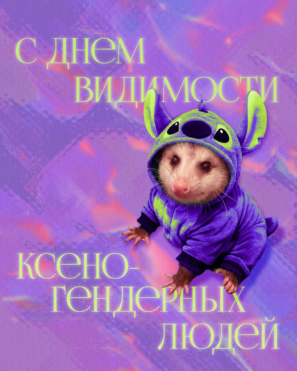 Квирь tweet media
