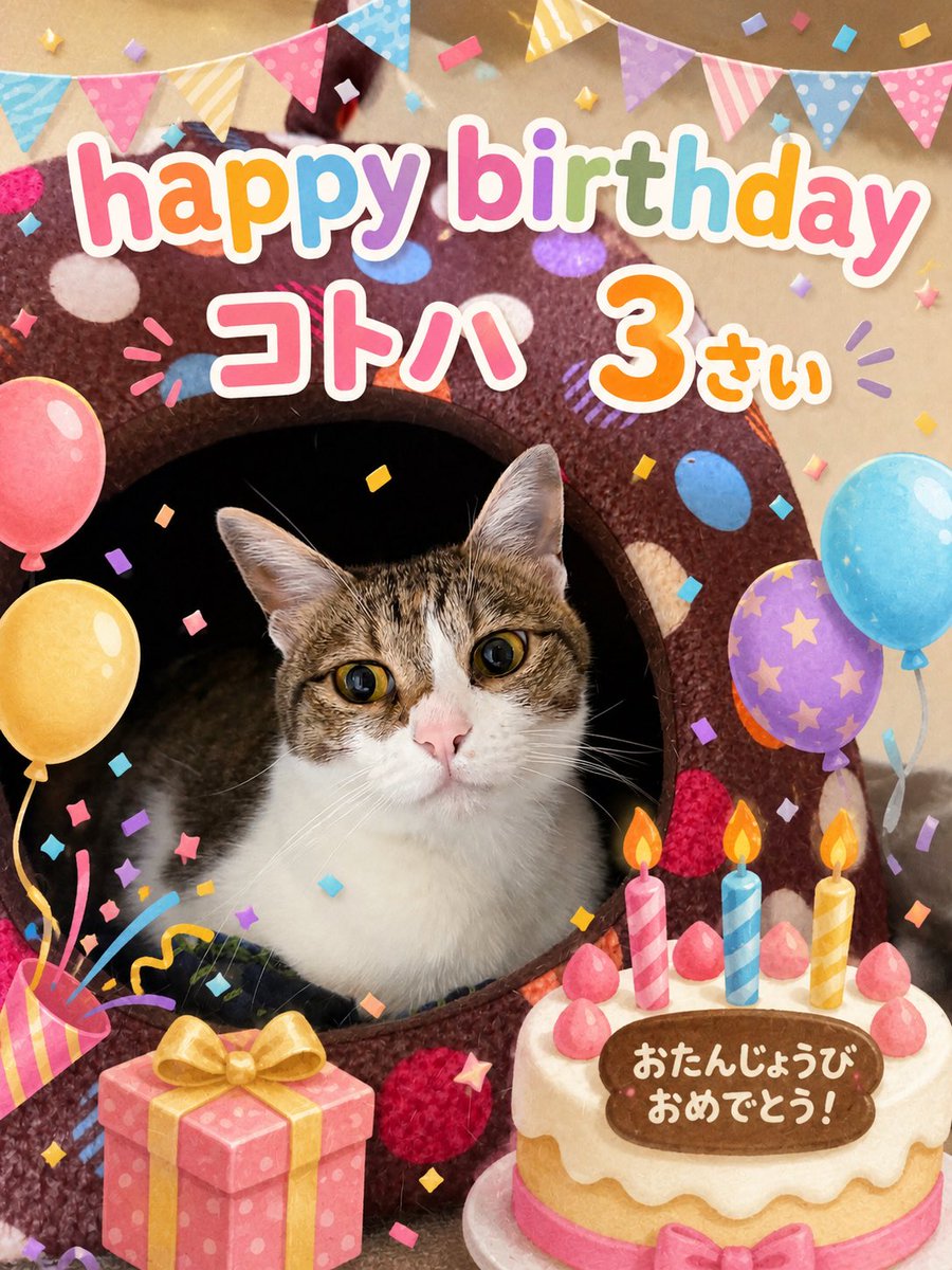 ryoco_xoxo's tweet photo. うちの詩羽さんが、本日でレベル3になりました！！ https://t.co/GGcHRUnQY3