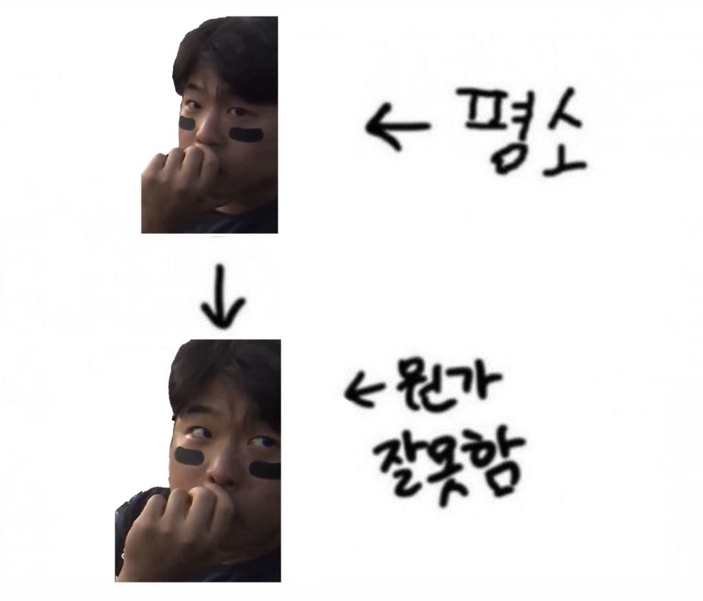1oveandpigs's tweet photo. 나한테백호이만큼귀여워보임 진짜로 https://t.co/IOrx8c5Nyf