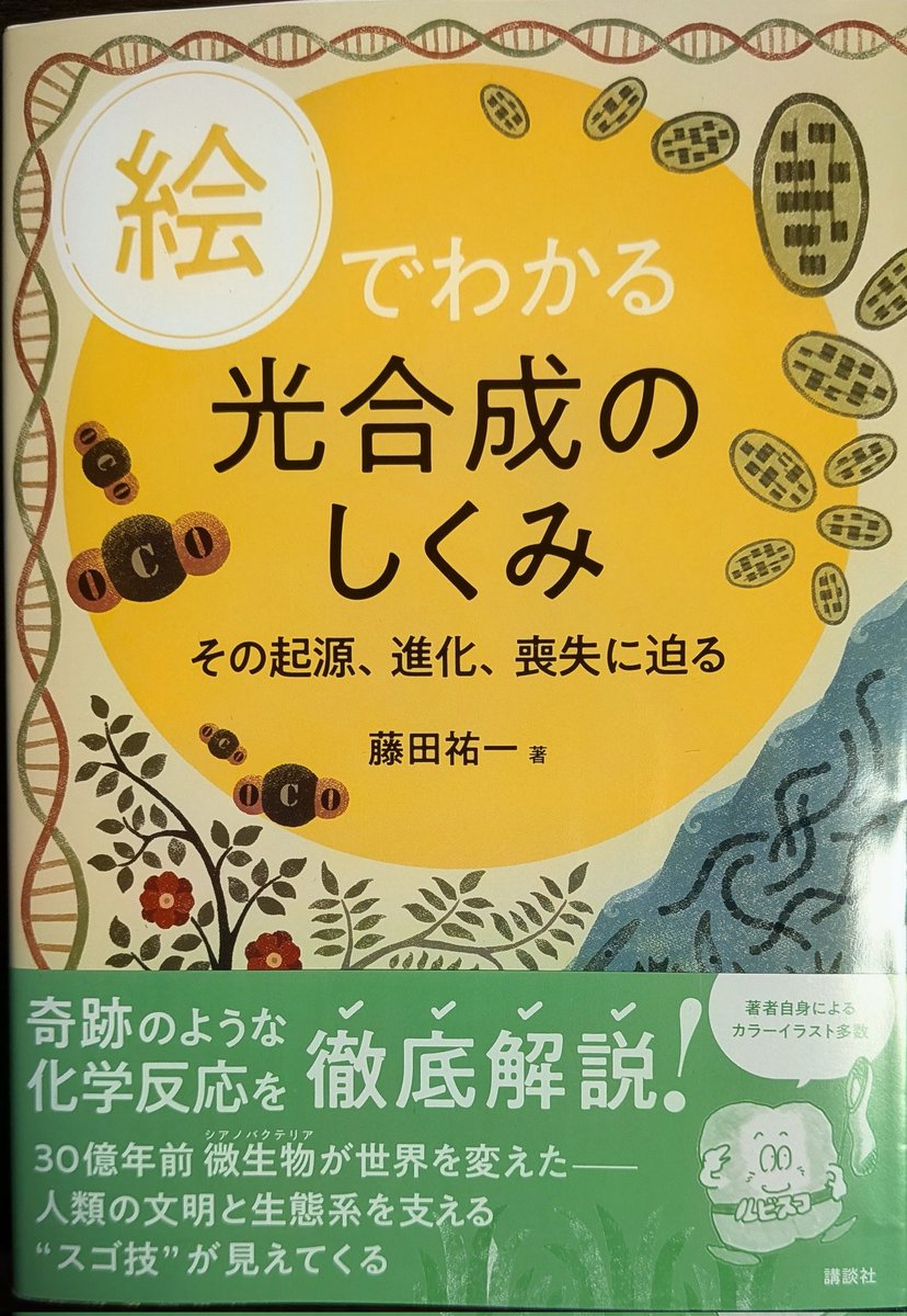 greatpunkin's tweet photo. お世話になっている先生の光合成の教科書を購入。文章も図も分かりやすいのは期待通りでしたが、予想以上に専門的な内容が幅広くしっかり含まれていることに驚きました（しかも読みやすい！）。大学生や大学院生向けの光合成の教科書として、一押しです。定番の一冊になると思いました。 https://t.co/JmHSGxYQg6