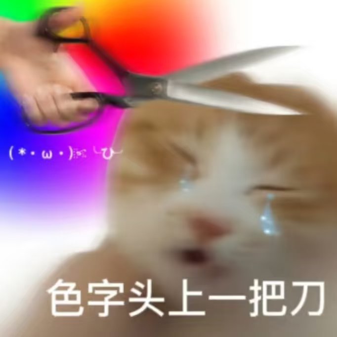 让kk看看 tweet media