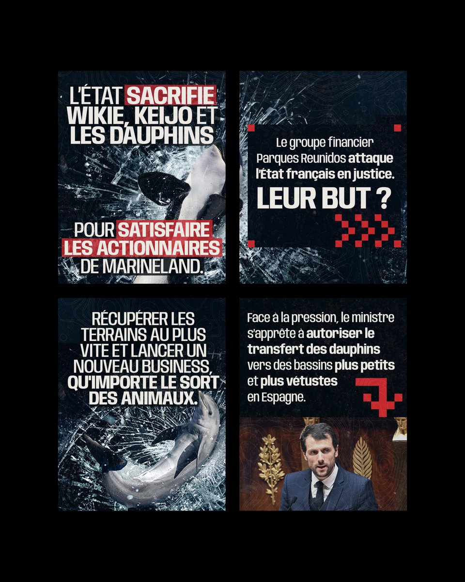 Adea Claude tweet media